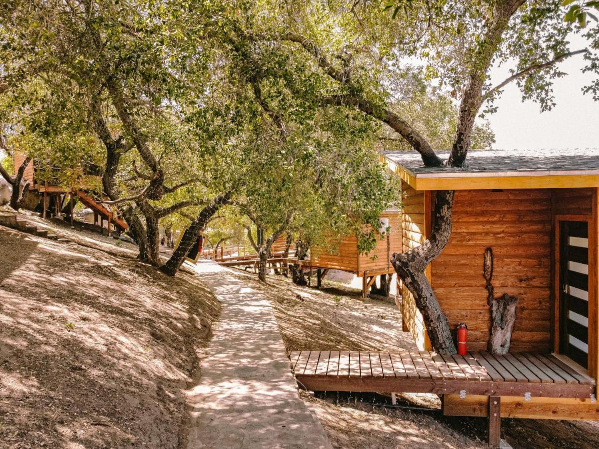 Boskenvid Hotel Boutique, Skypool Valle de Guadalupe Esterno foto