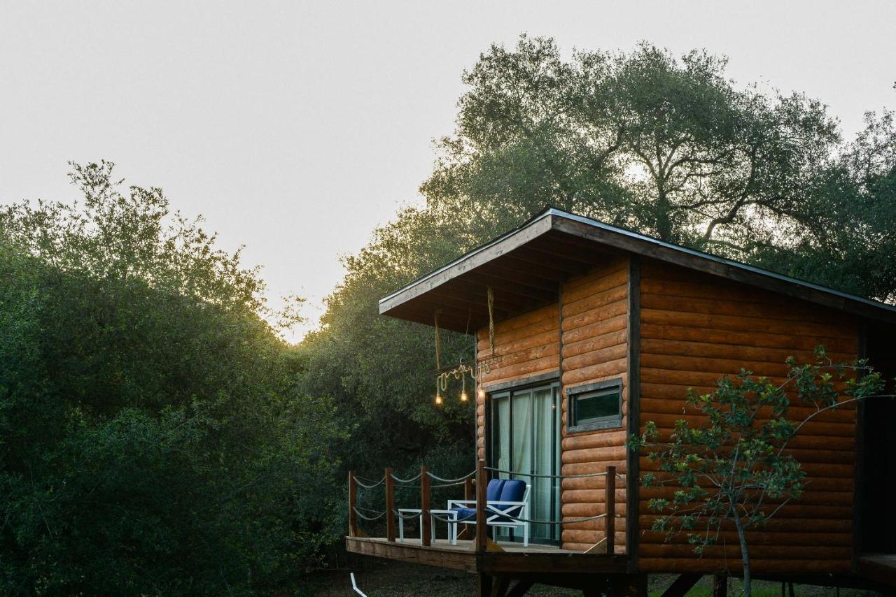 Boskenvid Hotel Boutique, Skypool Valle de Guadalupe Esterno foto