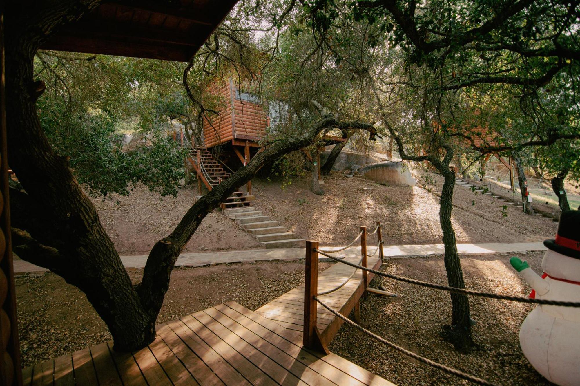 Boskenvid Hotel Boutique, Skypool Valle de Guadalupe Esterno foto